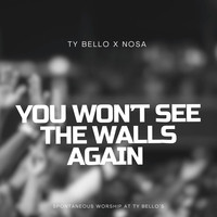 You Won't See the Walls Again