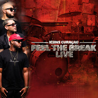 Feel the Break (Live)