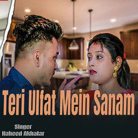 Teri Ulfat Mein Sanam