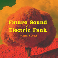 Future Sound of Electric Funk, for DJ's Only