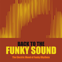 Back to the Funky Sound, the Electric Mood of Funky Rhythms