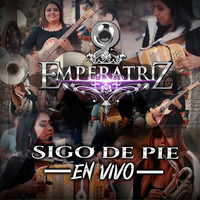 Sigo De Pie (En Vivo)