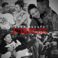 Purpose