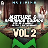 Nature & Ambience Sounds for Relaxation, Sleep & Meditation, Vol. 2