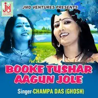 Booke Tushar Aagun Jole