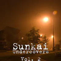 Undercovers Vol. 2