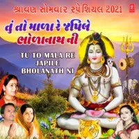 Sawan Somvar Special 2021 - Tu To Mala Re Japile Bholanath Ni