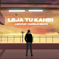 Le Ja Tu Kahin (Lo-Fi Flip)
