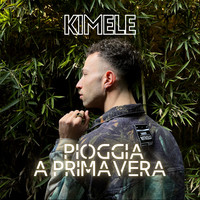 Pioggia a Primavera