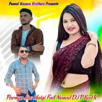 Parnya Jisu Haigi Fail Nanad DJ P Kud R