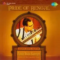 Pride Of Bengal Pt Nikhil Banerjee Sitar
