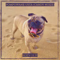 Pompowane Usta (Candy Noize)