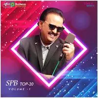 SPB Top-20 Volume - 1