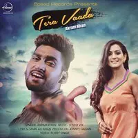 Tera Vaada