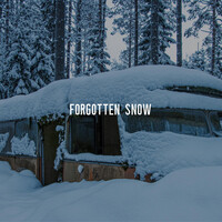 Forgotten Snow