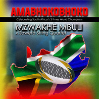 Amabhokobhoko
