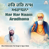 Har Har Naam Aradhana