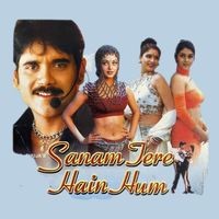 SANAM TERE HAI HUM (Original Motion Picture Soundtrack)