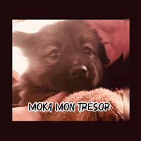 Moka Mon Tresor