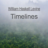 Timelines