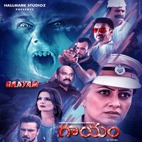 Gaayam (Original Motion Picture Soundtrack)