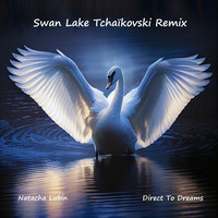 Swan Lake Tchaïkovski (Remix)
