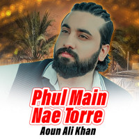 Phul Main Nae Torre