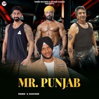 Mr Punjab