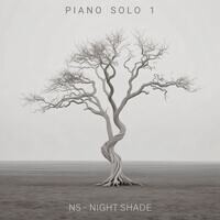 Piano Solo 1