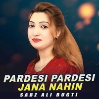 Pardesi Pardesi Jana Nahin