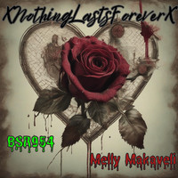 XNothingLastsForeverX