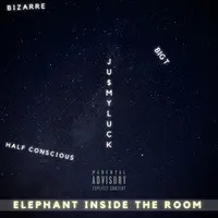 Elephant Inside the Room