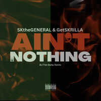 Ain't Nothing (DJ Tim Dolla Remix)