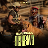 Njangala Nembwa