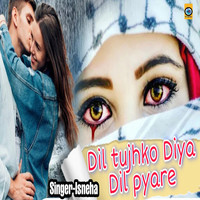Dil Tujhko Diya Hai pyare Mastered