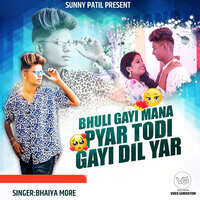 Bhuli Gayi Mana Pyar Todi Gayi Dil Yar (feat. Sunny Patil)