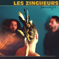 Les zingueurs sauvages