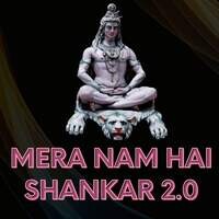 Mera Nam Hai Shankar 2.0