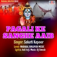 Pagali Ke Sanghe Aaib