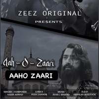 Aaho Zaari