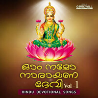 Om Namo Narayana Devi, Vol. 1