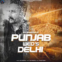 Punjab Weds Delhi