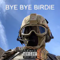 Bye Bye Birdie