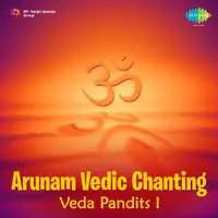 Arunam Vedic Chanting Veda Pandits 1
