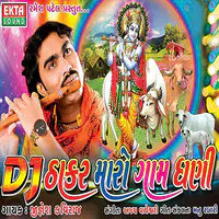 DJ Thakar Maro Gam Dhani