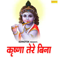 Krishna Tere Bina