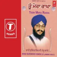 Toon Mera Raakha