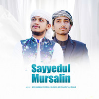 Sayyedul Mursalim