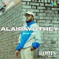 Alaipayuthey - DnB Mix