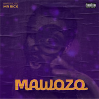 Mawozo